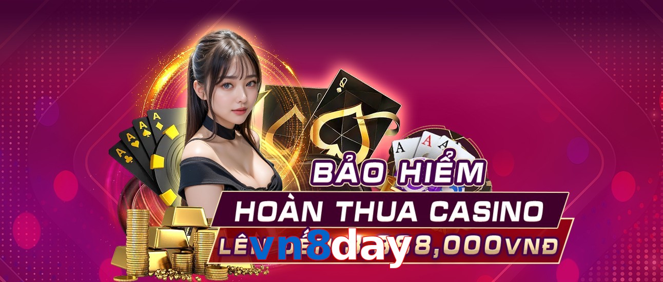vn8day