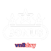vn8day