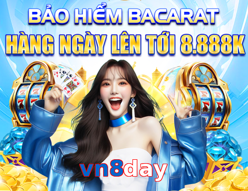vn8day
