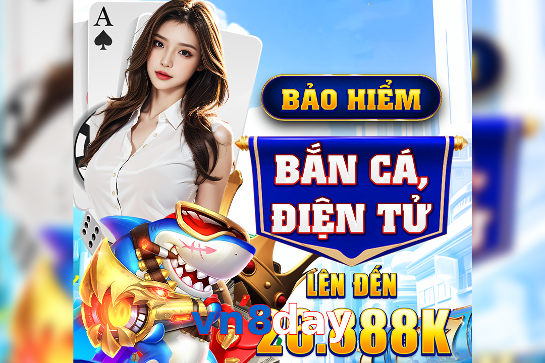 vn8day