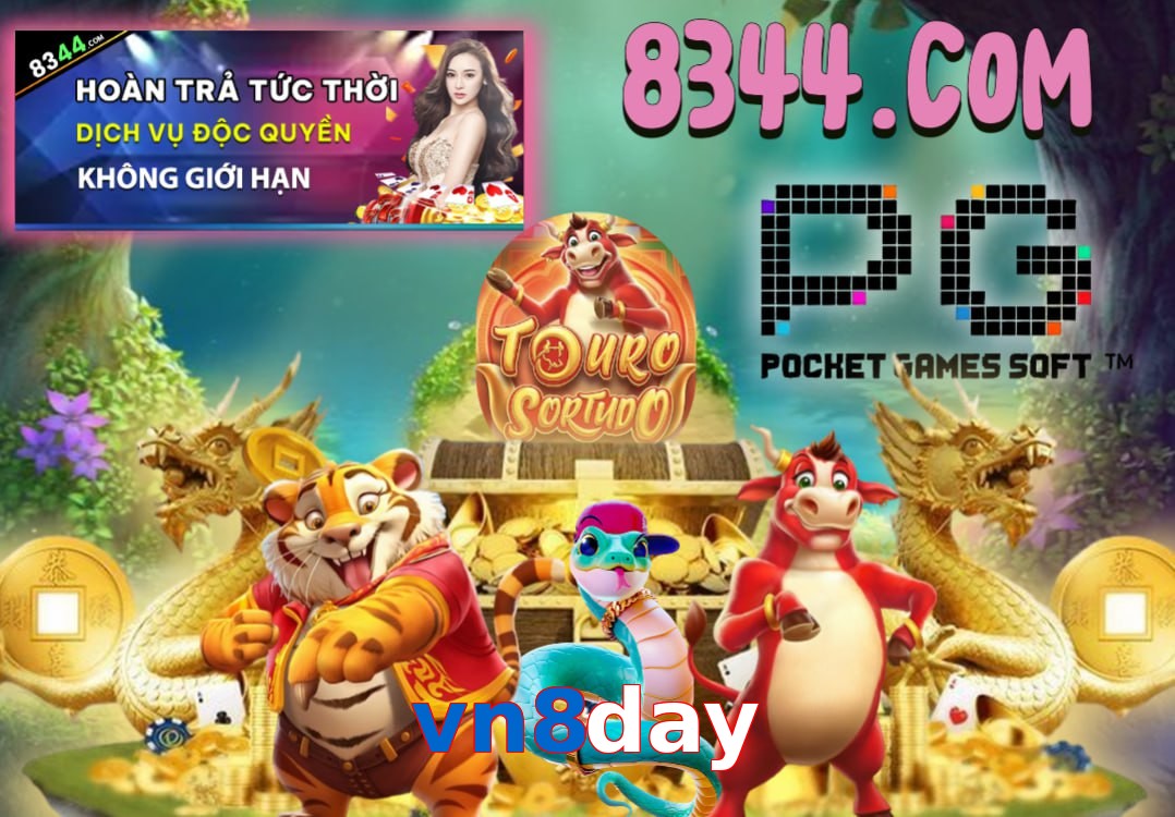 vn8day