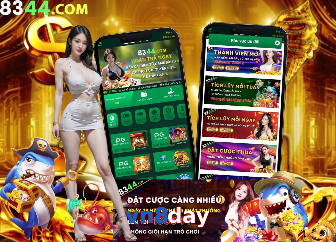 vn8day