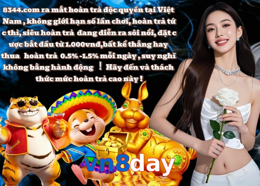 vn8day